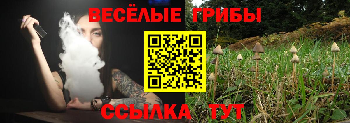 Уссурийск  Галлюциногенные грибы Psilocybine cubensis  Вход с VPN 